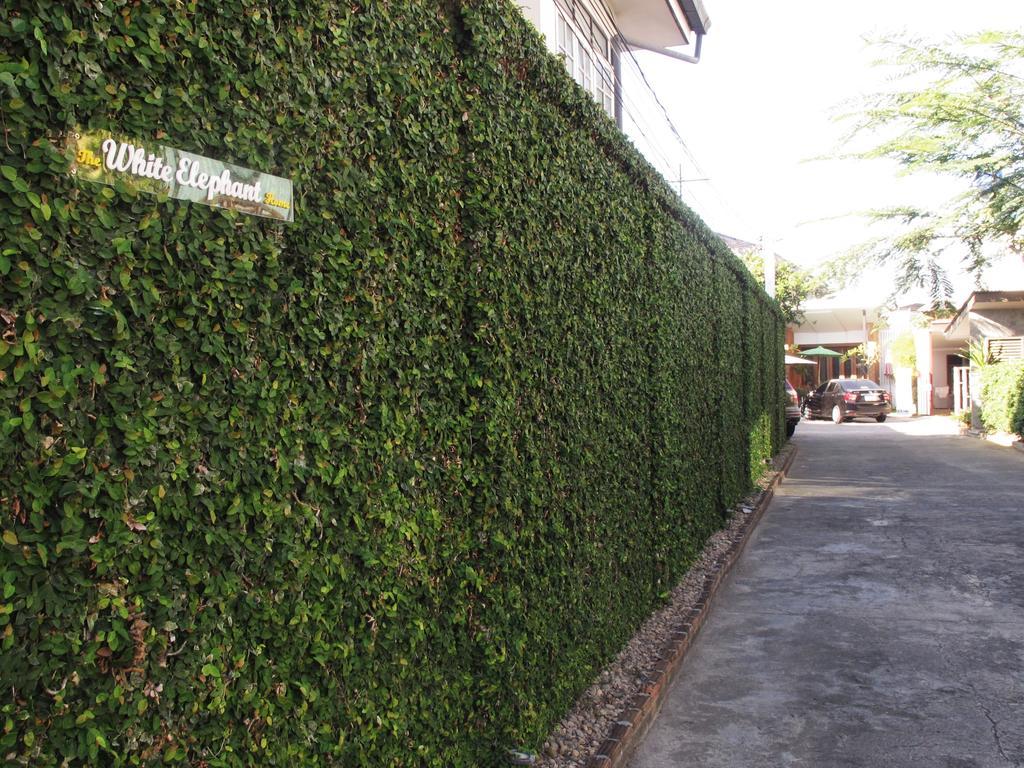 The White Elephant Home Chiang Mai Exterior photo